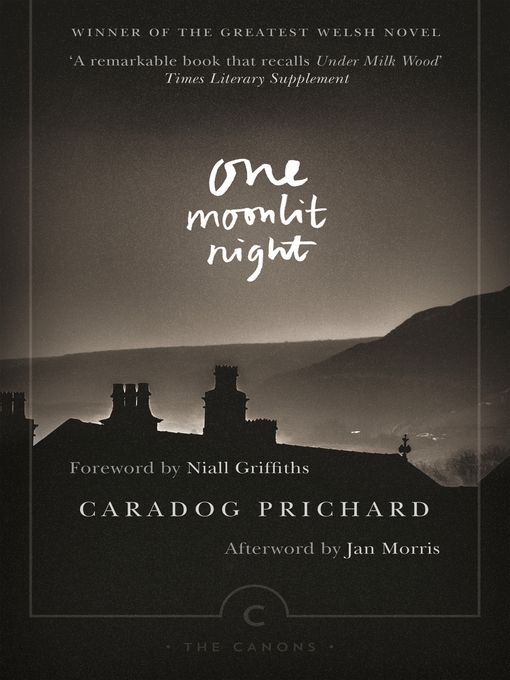 One Moonlit Night (eBook)